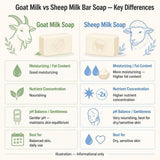 Goat Milk Bar Soap with Shea Butter + Kaolin Clay (Lavender)